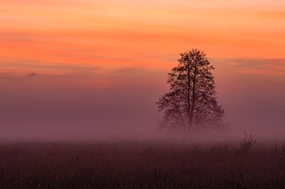 黄昏雾气朦胧山野风光图片